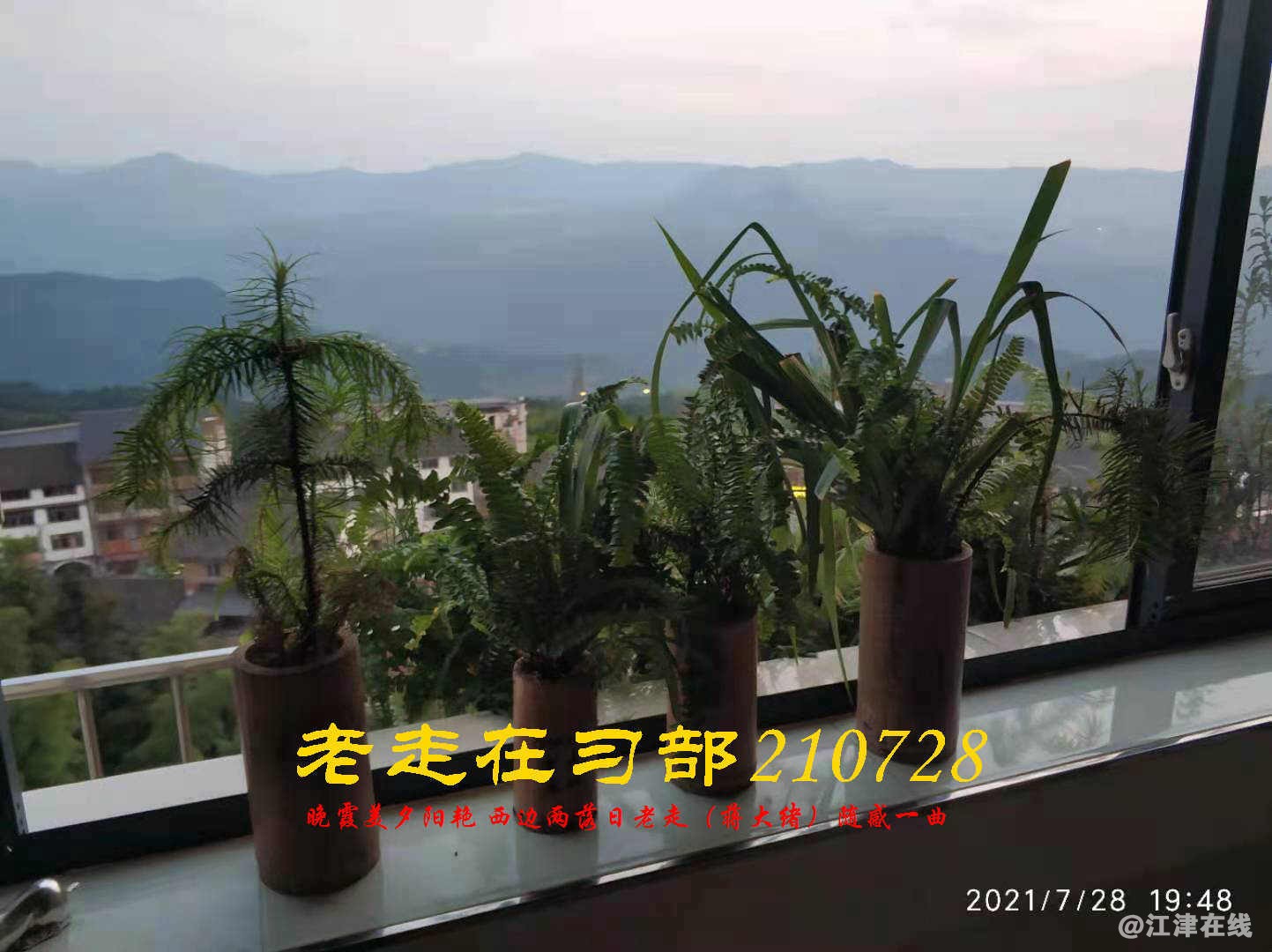 JYZ 20210728 WBQ (23).jpg