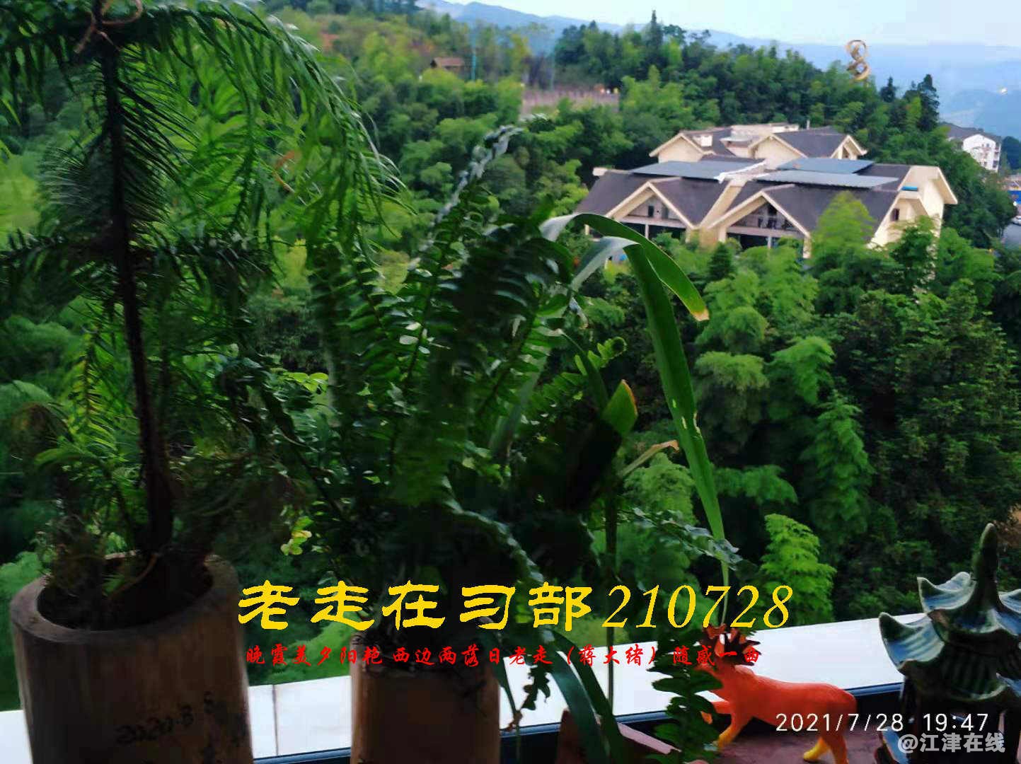 JYZ 20210728 WBQ (25).jpg