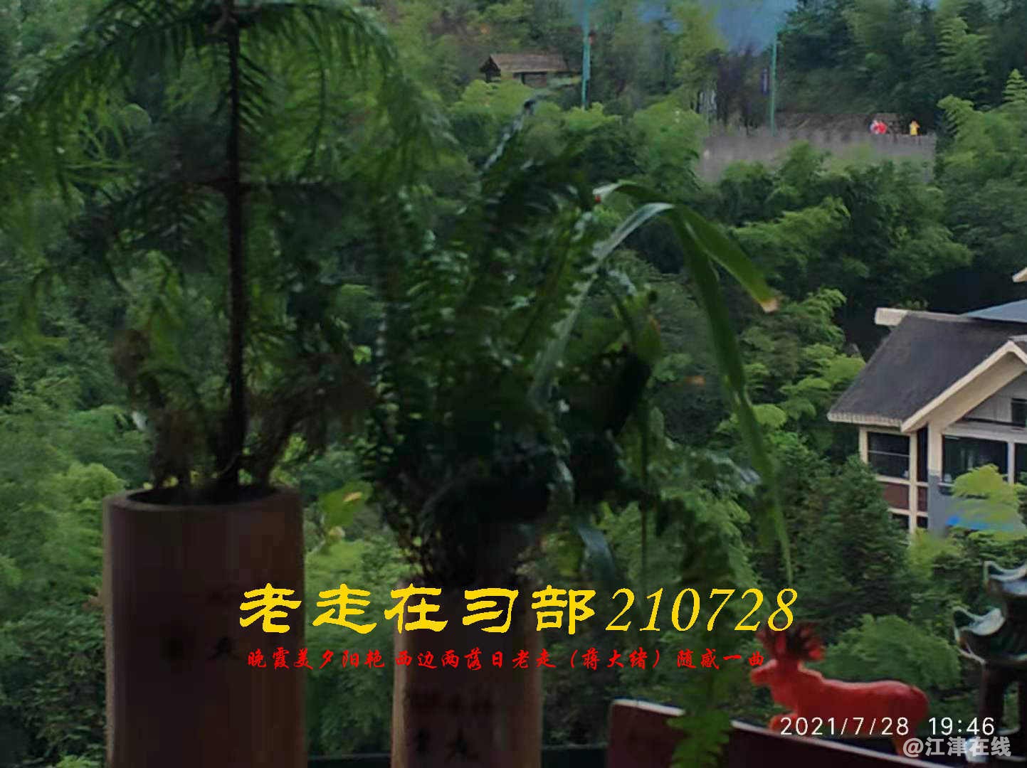 JYZ 20210728 WBQ (27).jpg
