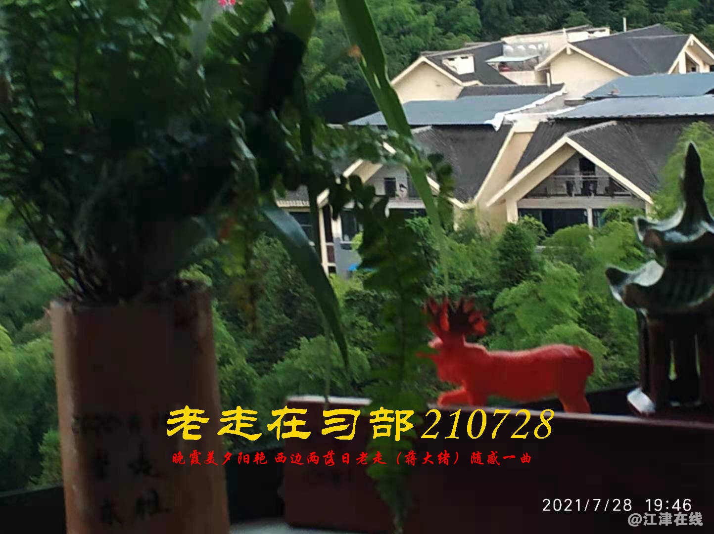 JYZ 20210728 WBQ (26).jpg