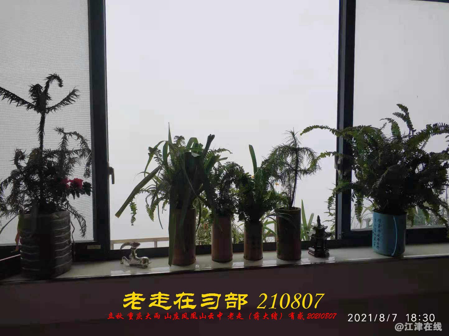 JYZ 20210807 WBQ  (5).jpg