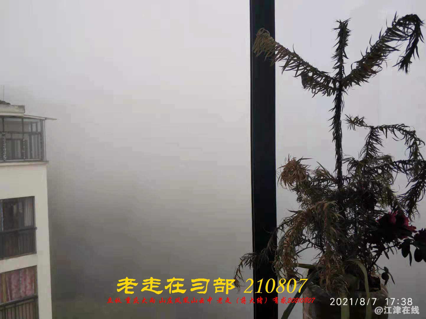JYZ 20210807 WBQ  (10).jpg