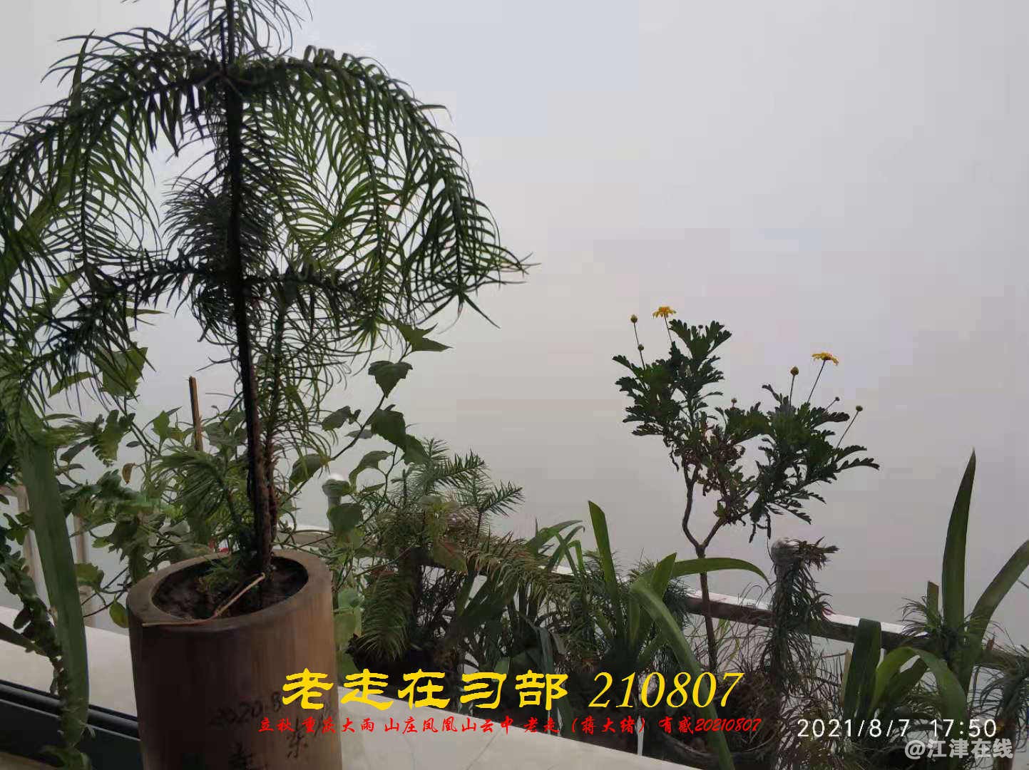 JYZ 20210807 WBQ  (11).jpg
