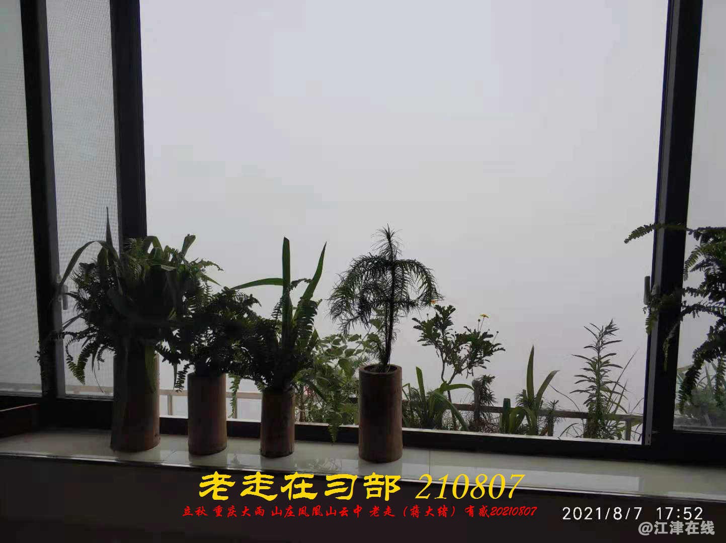 JYZ 20210807 WBQ  (14).jpg