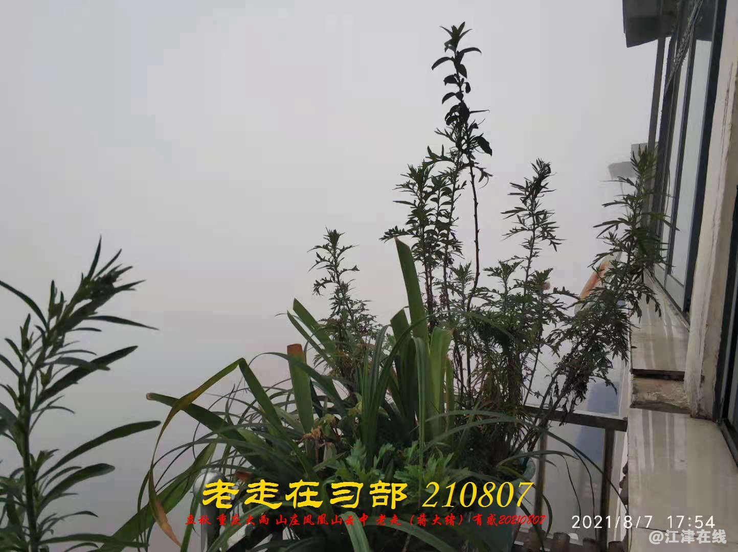 JYZ 20210807 WBQ  (17).jpg