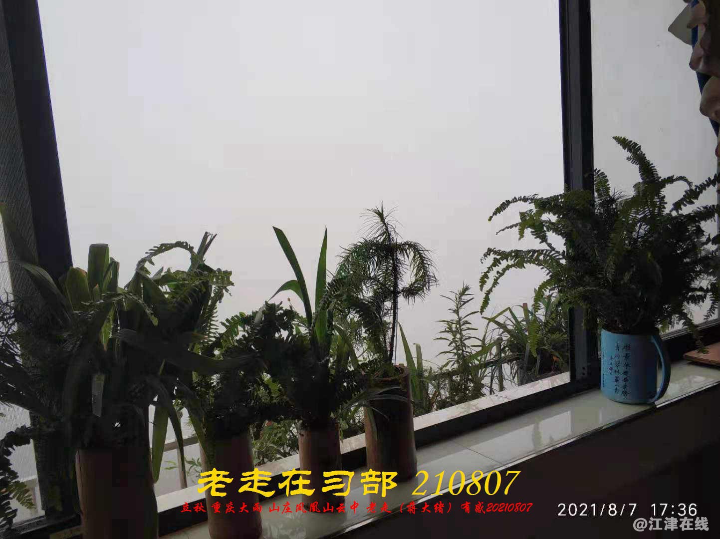 JYZ 20210807 WBQ  (35).jpg