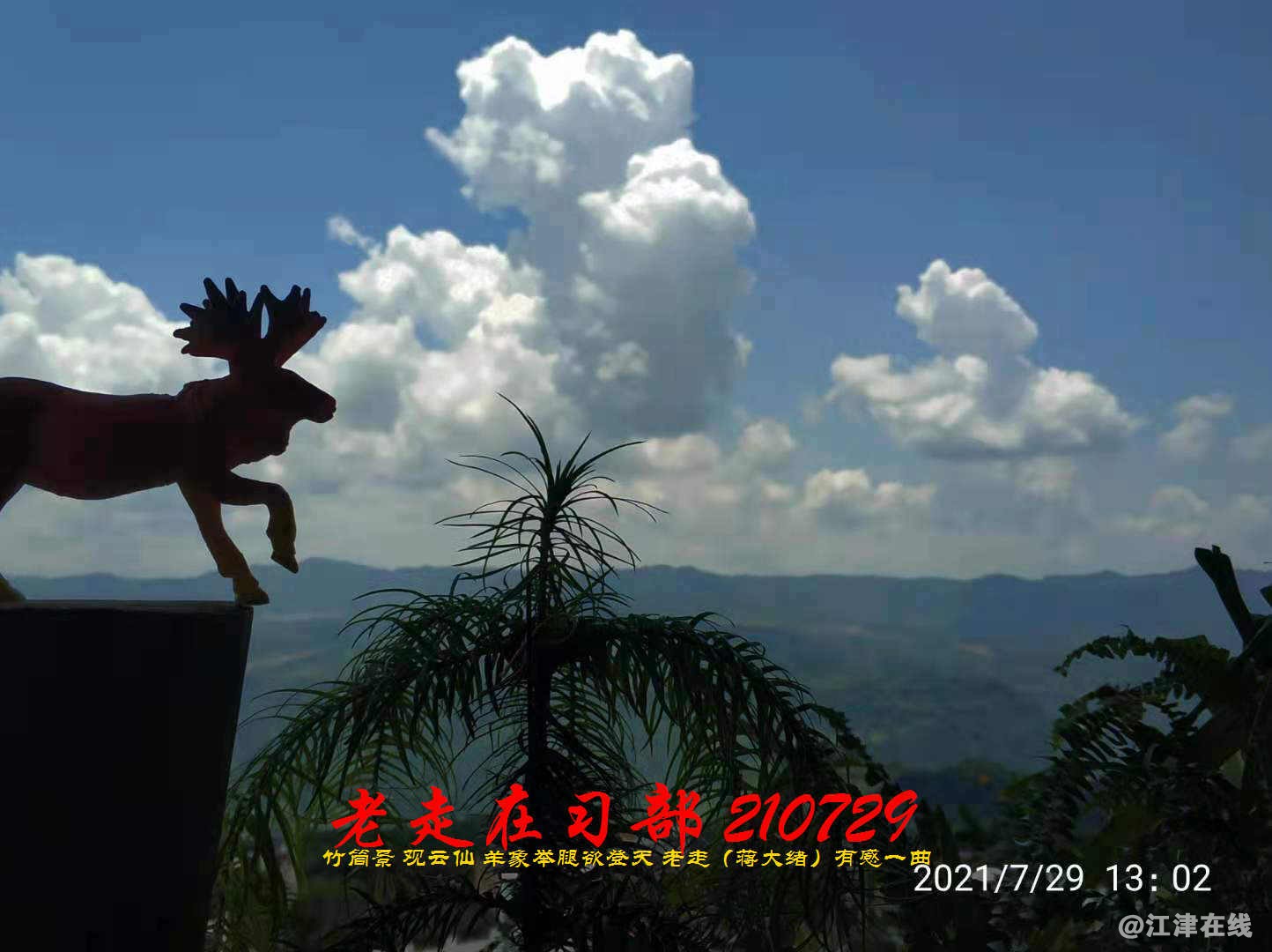 JYZ 210729 WBQ (30).jpg