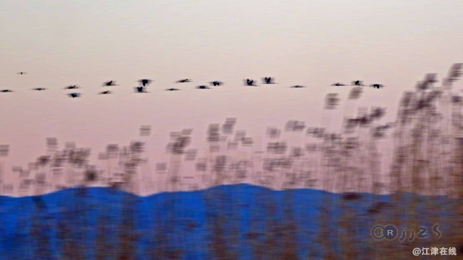 front2_0_FsD8TZxWN5l5fi_YFn50cetF32eF.1628740532.jpg