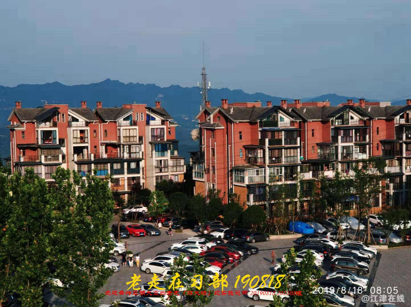 JYZ 20190818 WB(18).jpg