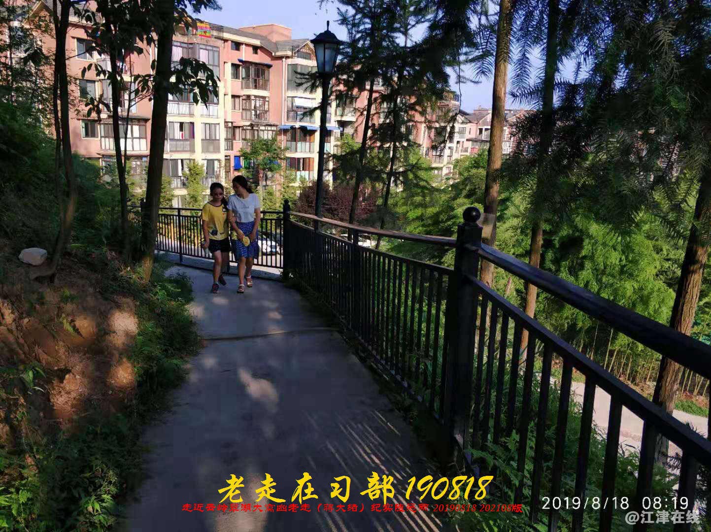 JYZ 20190818 WB(42).jpg