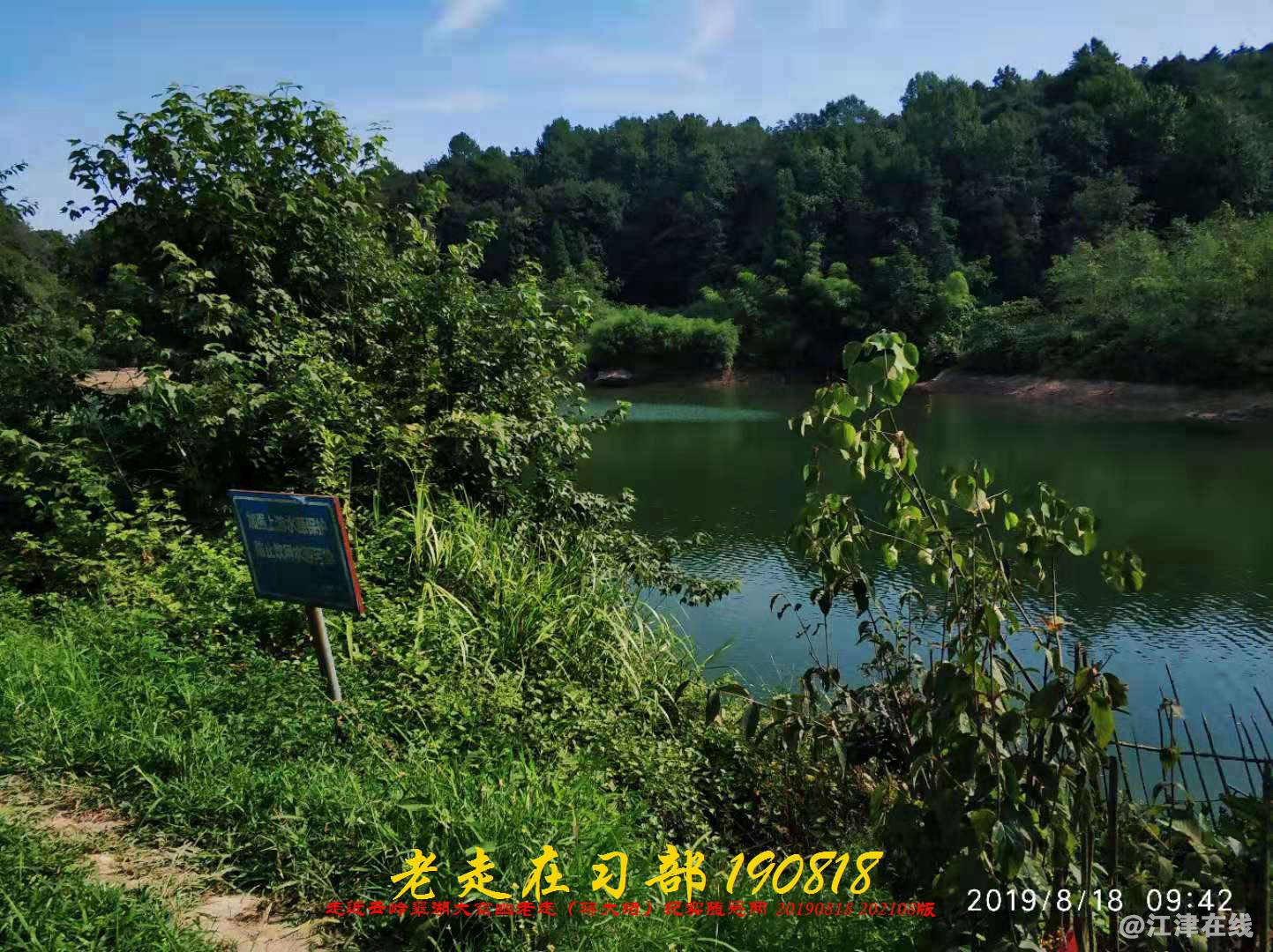 JYZ 20190818 WB(127).jpg