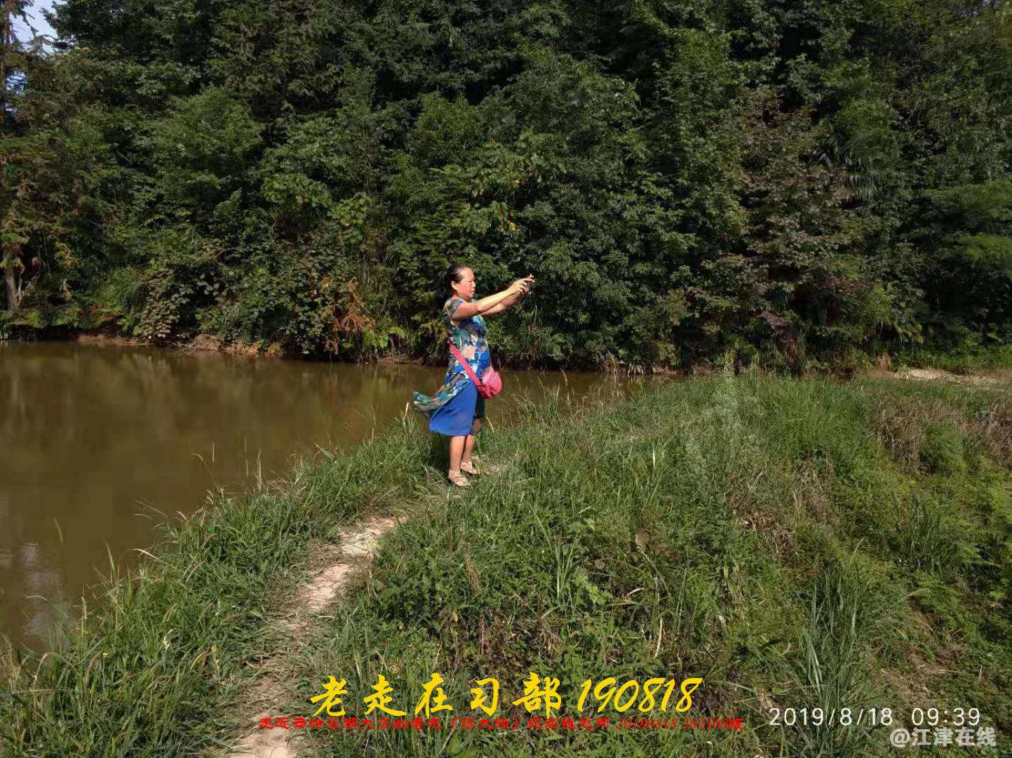 JYZ 20190818 WB(131).jpg