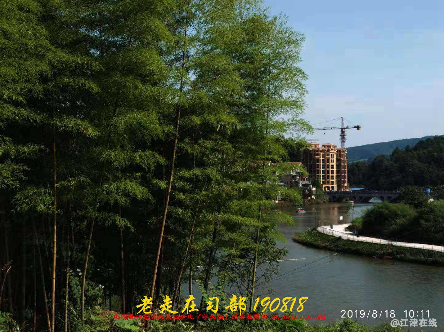 JYZ 20190818 WB(166).jpg