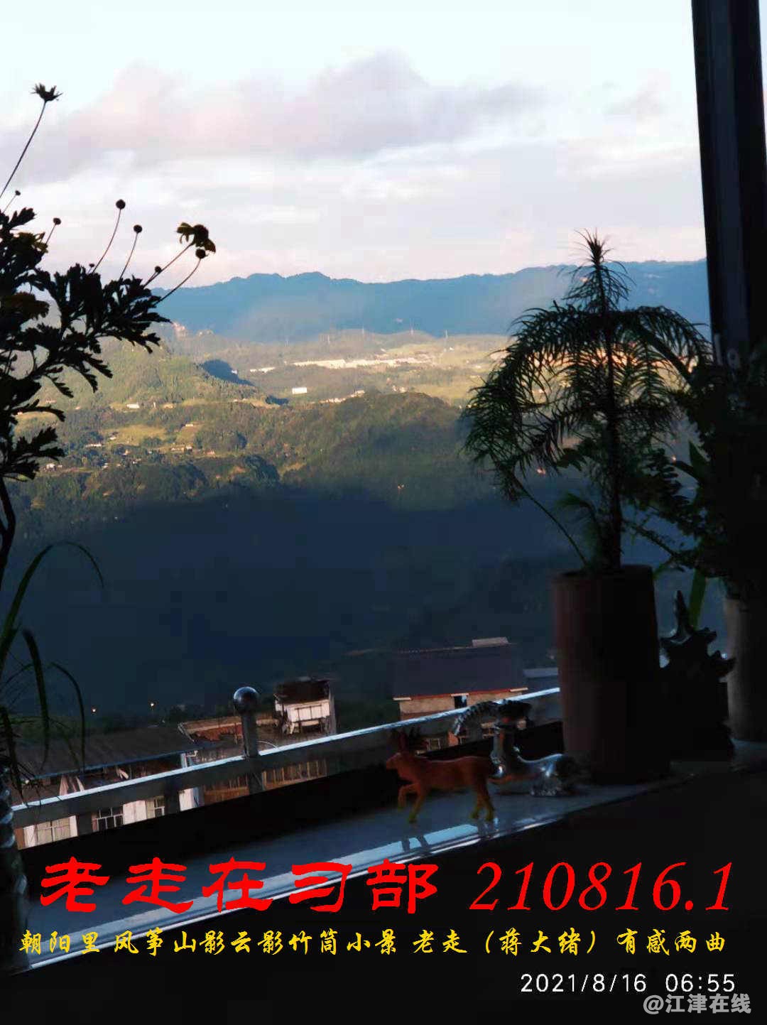 JYZ 210816.1 WBQ (10).jpg