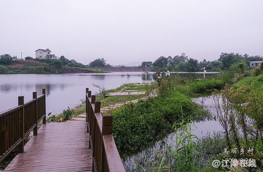 美丽乡村 (3).jpg