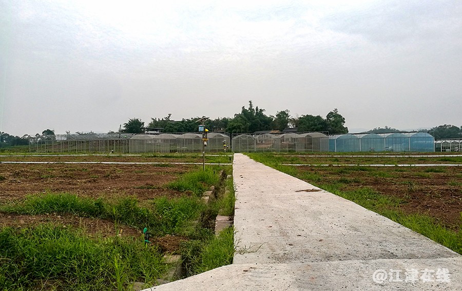 美丽乡村 (4).jpg
