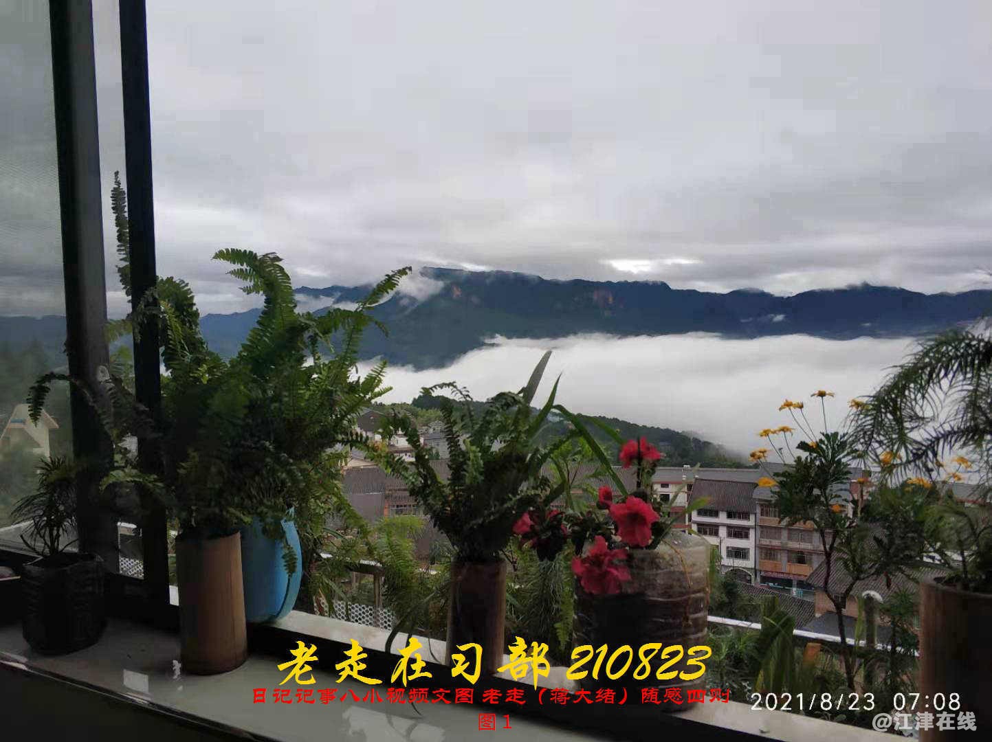 JYZ 20210823 BQ图1 (39).jpg