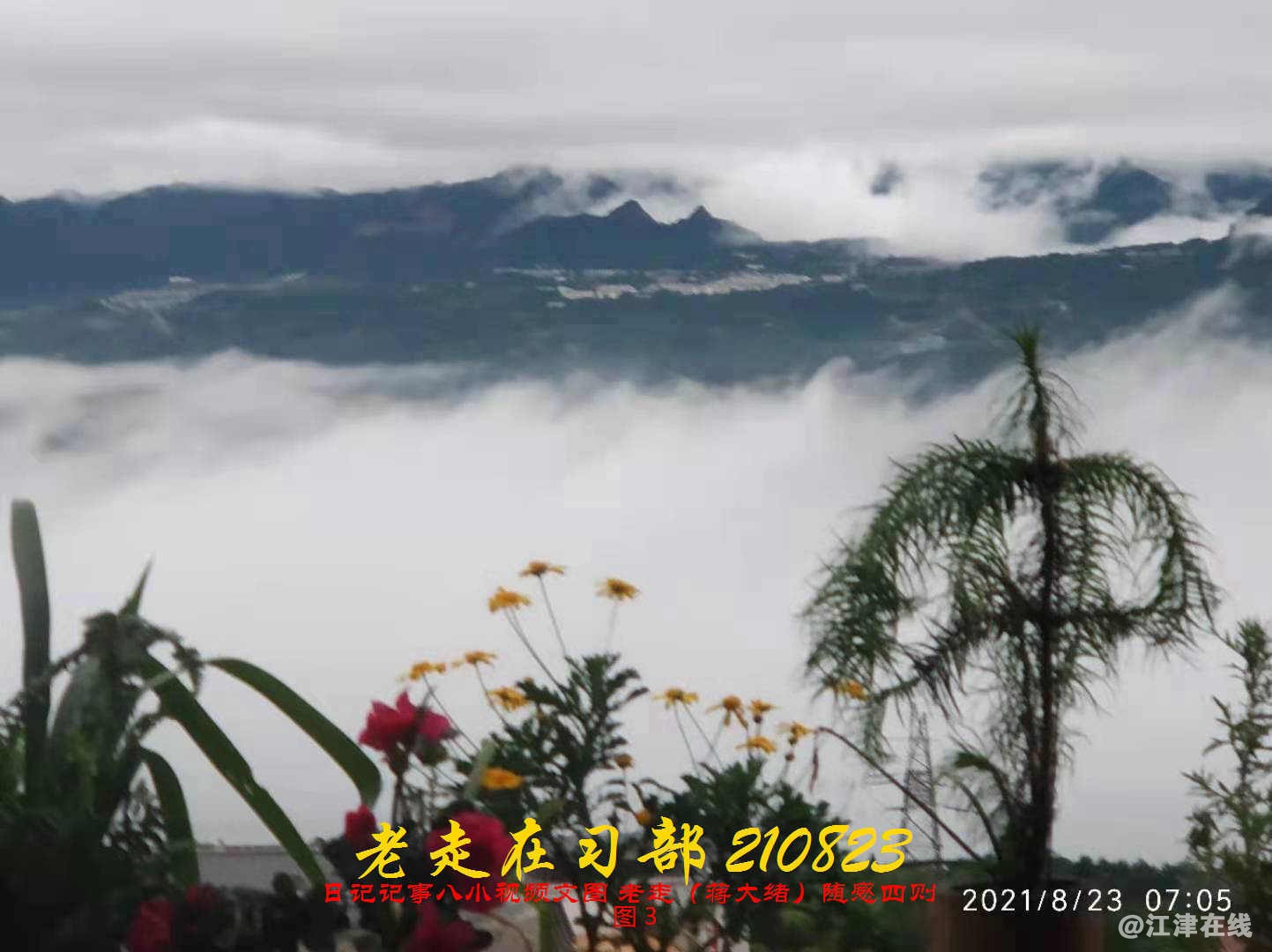 JYZ 20210823 BQ图3 (41).jpg