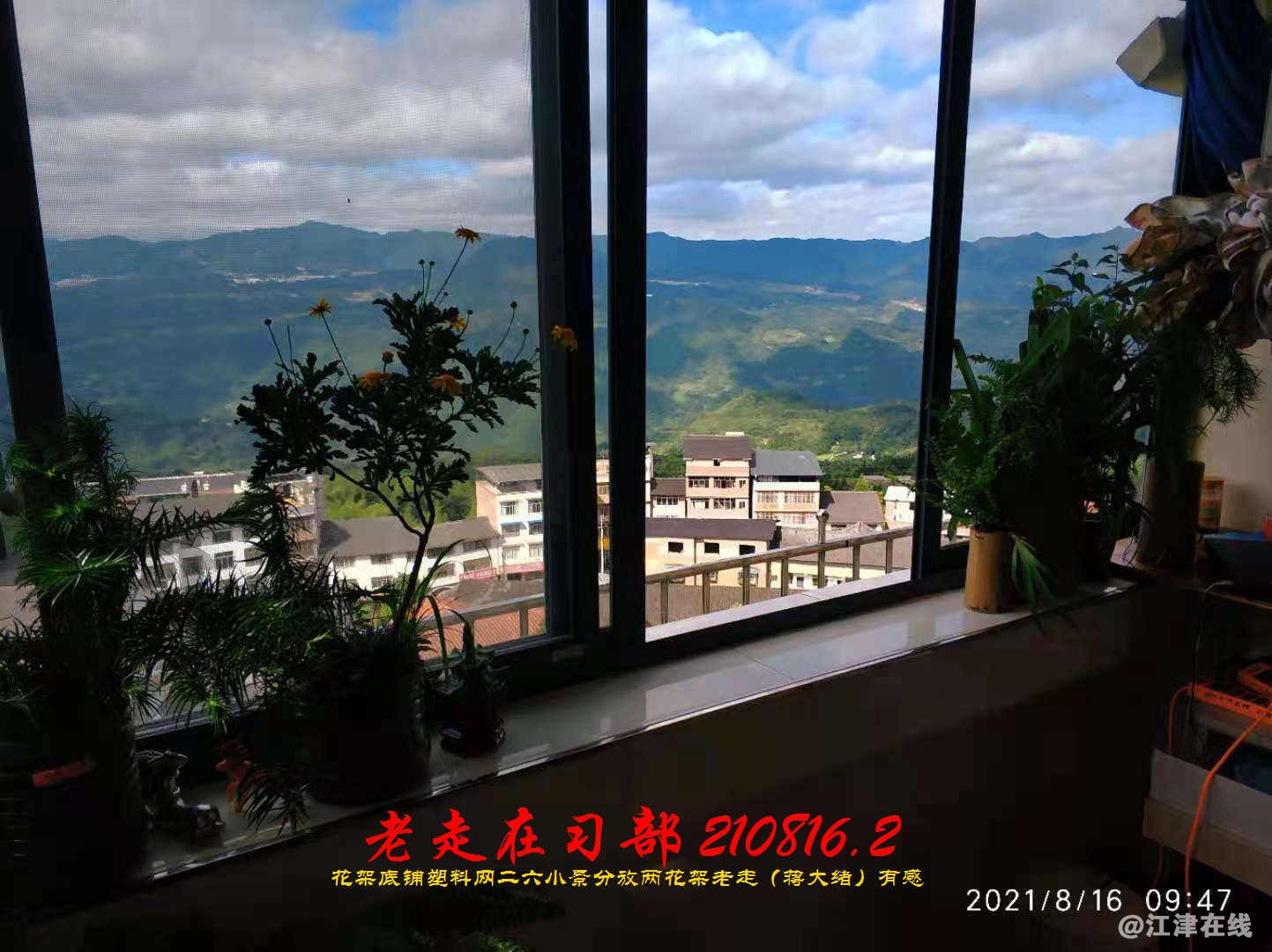 JYZ 20210816.2 WBQ (16).jpg