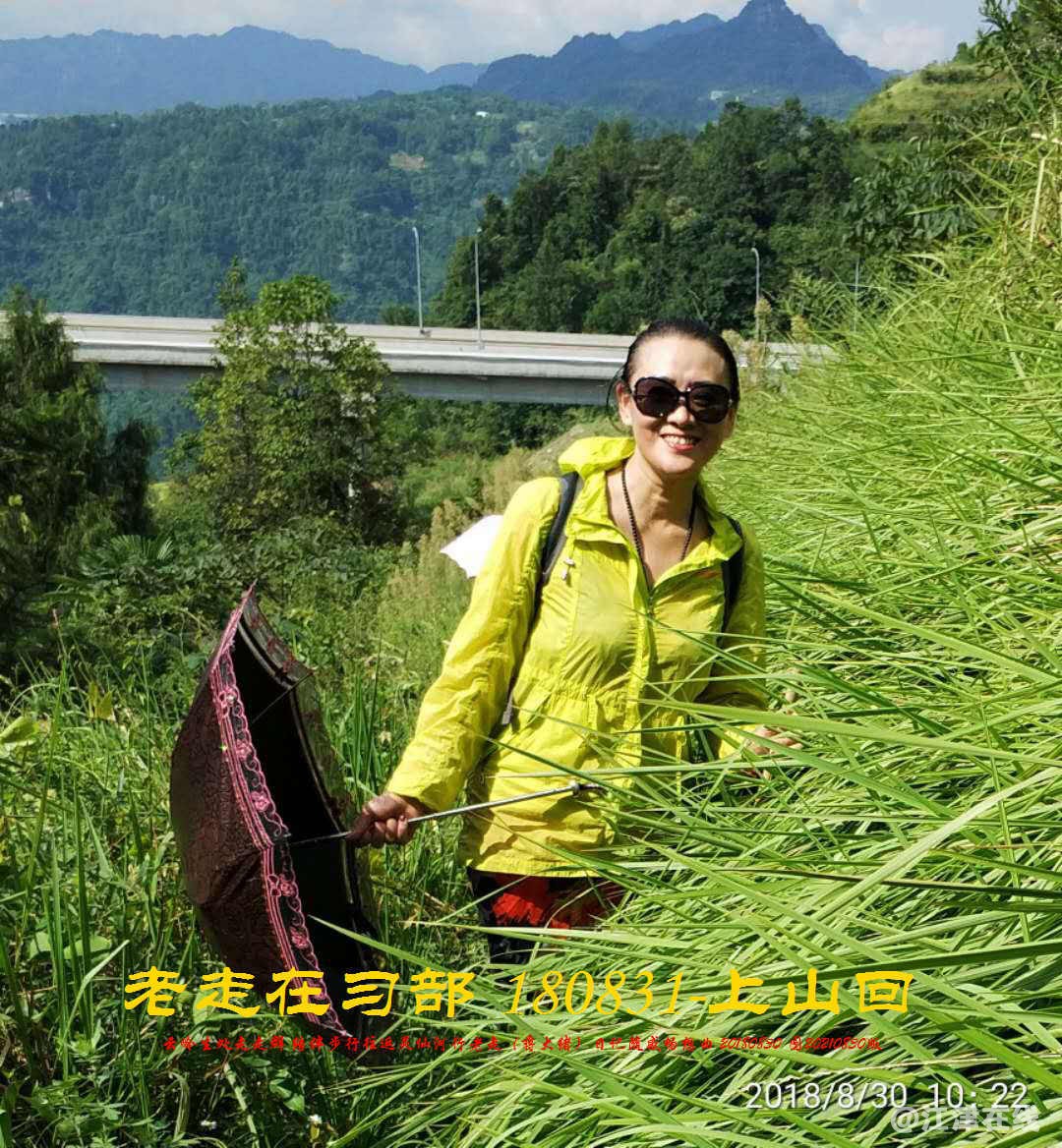 JYZ 20180830 WBQ (98).jpg