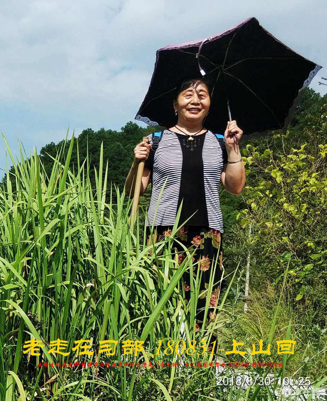 JYZ 20180830 WBQ (102).jpg