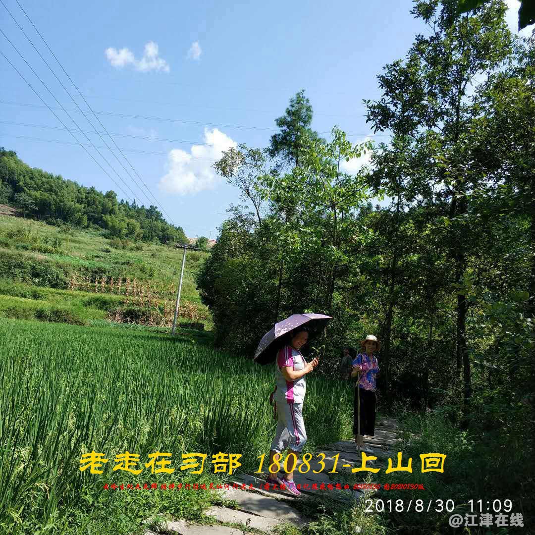 JYZ 20180830 WBQ (134).jpg
