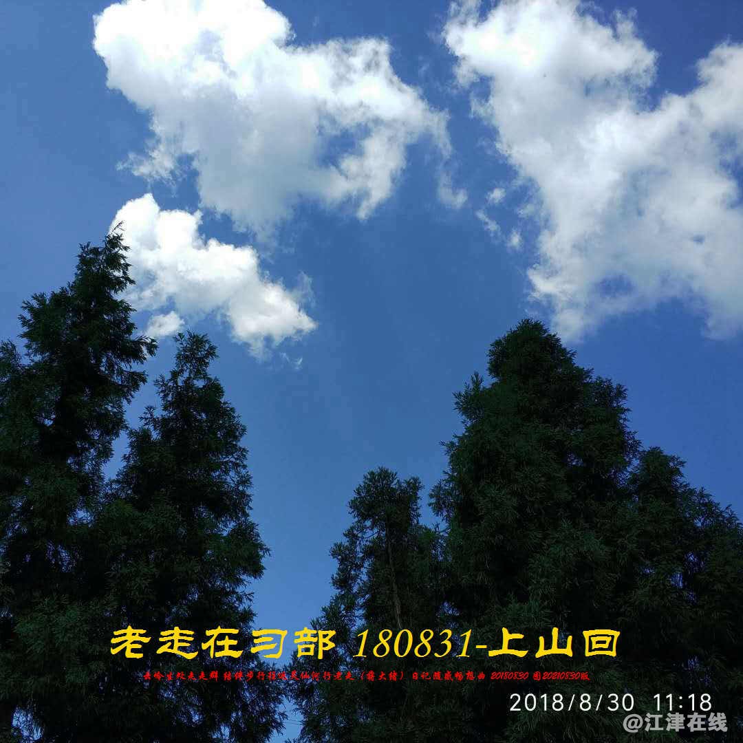JYZ 20180830 WBQ (147).jpg