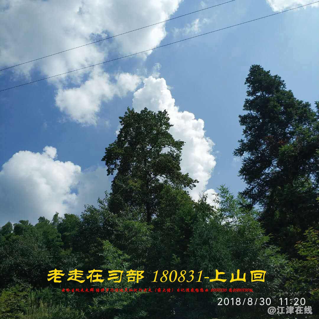 JYZ 20180830 WBQ (149).jpg