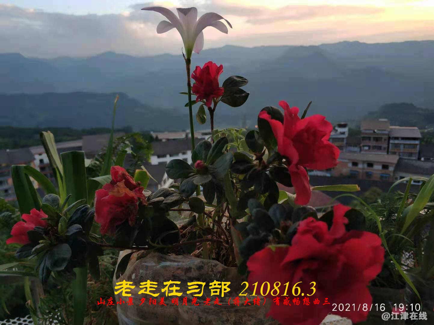 JYZ 210816.3  WBQ(81).jpg