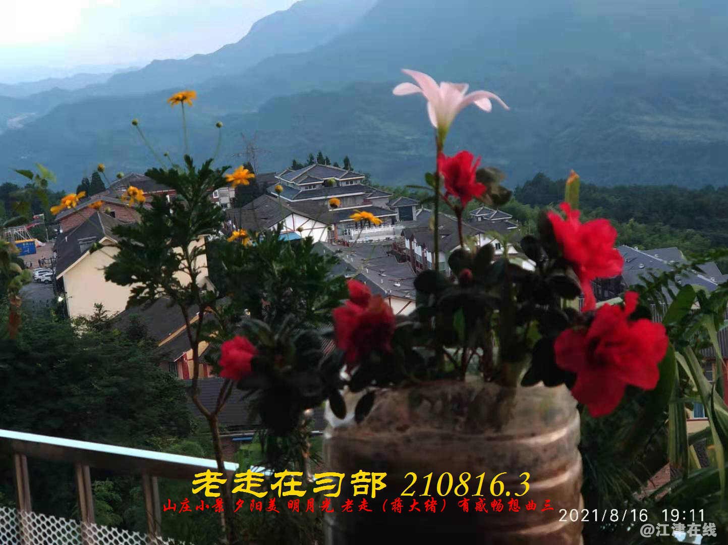 JYZ 210816.3  WBQ(85).jpg