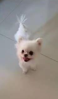 微信图片编辑_20210924152111.jpg