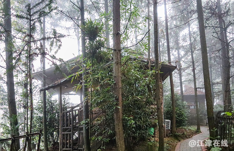 老山 (2).jpg