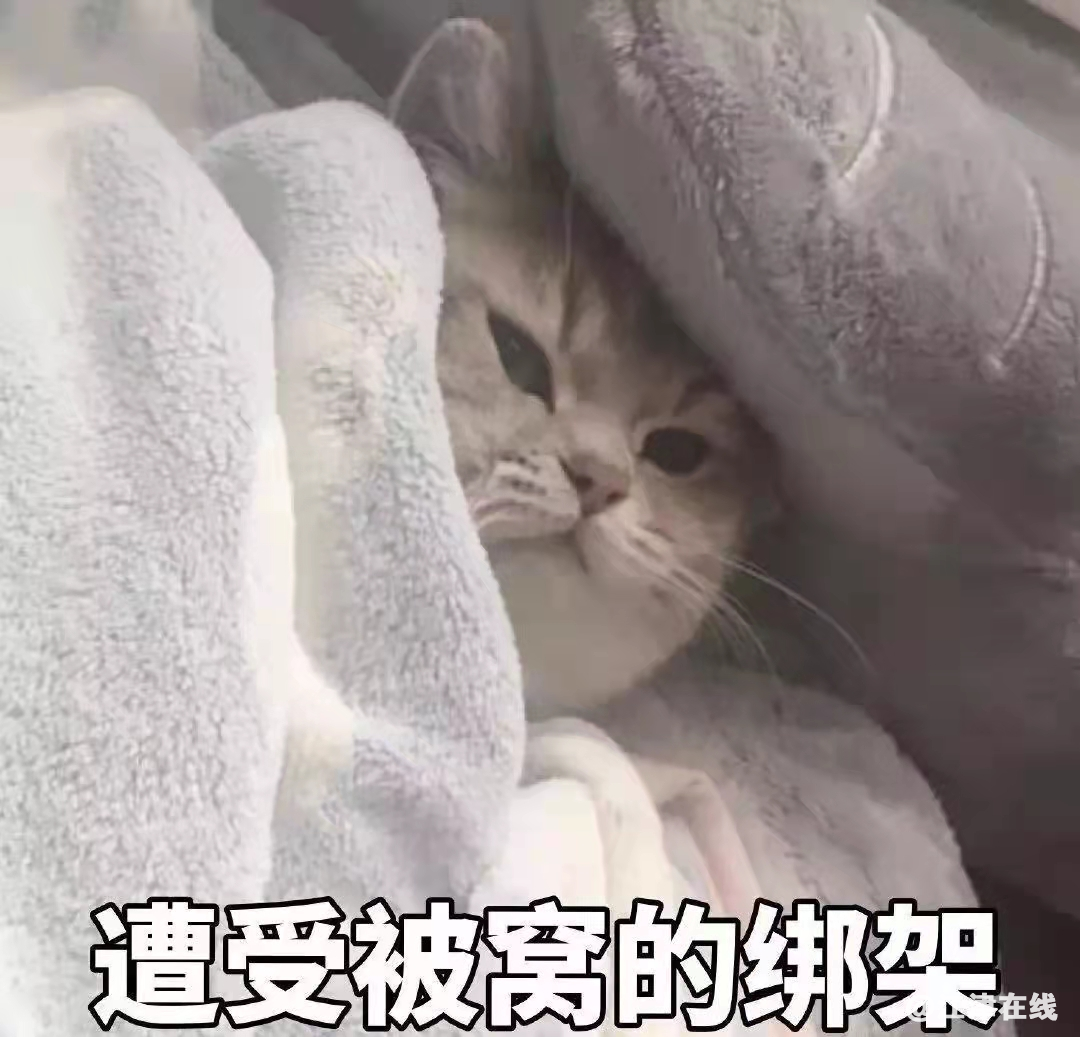 98a8baac62f1945ffe00a1dc0da763bd.png
