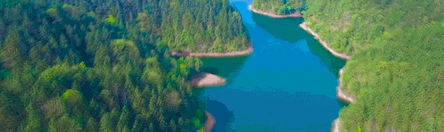 9cd21000c827e5399f54123130827d6a.gif