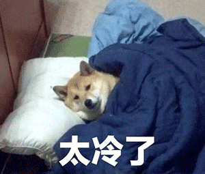 23738f5dc61b743c0c1afcc4ba7a219f.gif