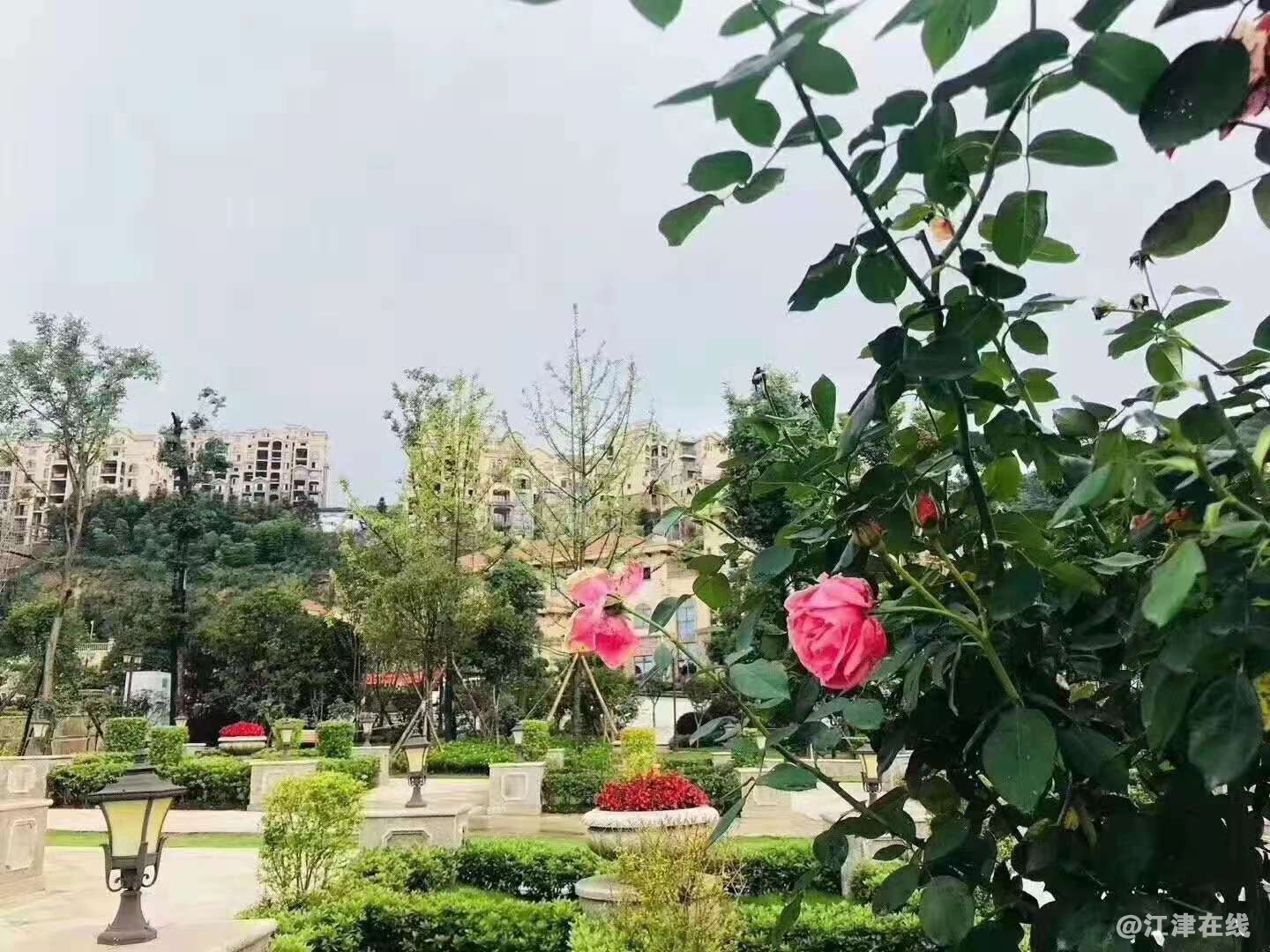 微信图片_20210414104608.jpg