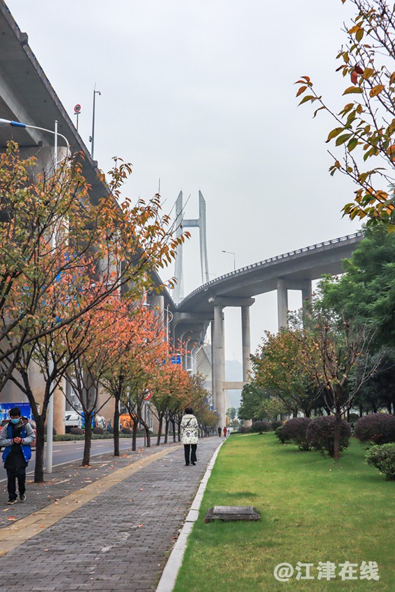 大江之津 (2).jpg