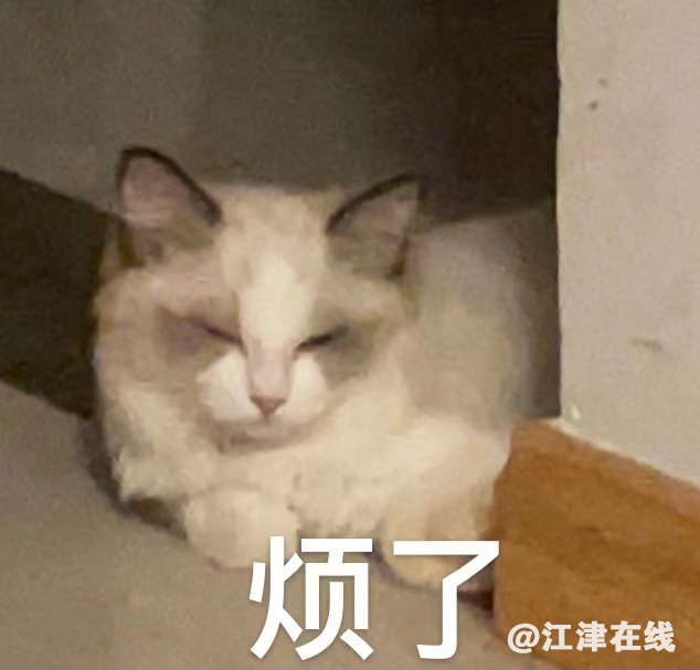 c6c8b7d4b2c901f5723153077473c373.png