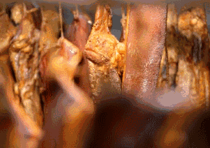 3140d9a5cbb5cf8a5a13feeadec9f8ab.gif