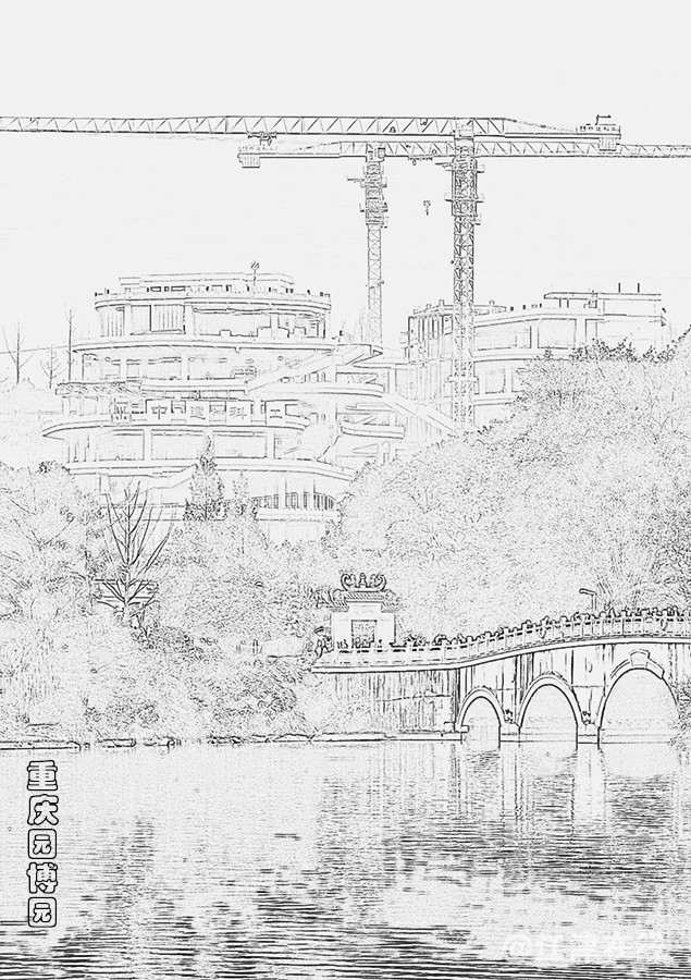 IMG_2376副本景线描副本.jpg