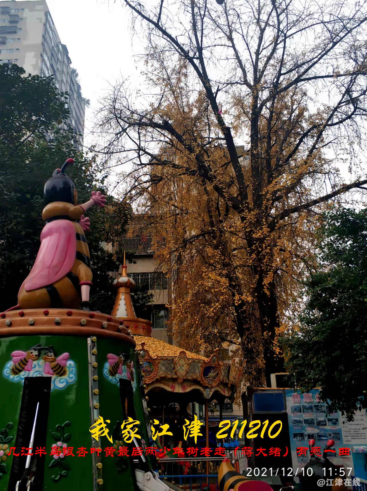 JYZ 20211210 WBQ(19).jpg