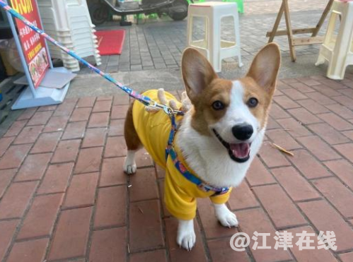 微信截图_20211216121705.png
