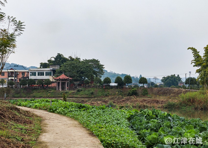 别口沱 (8).jpg