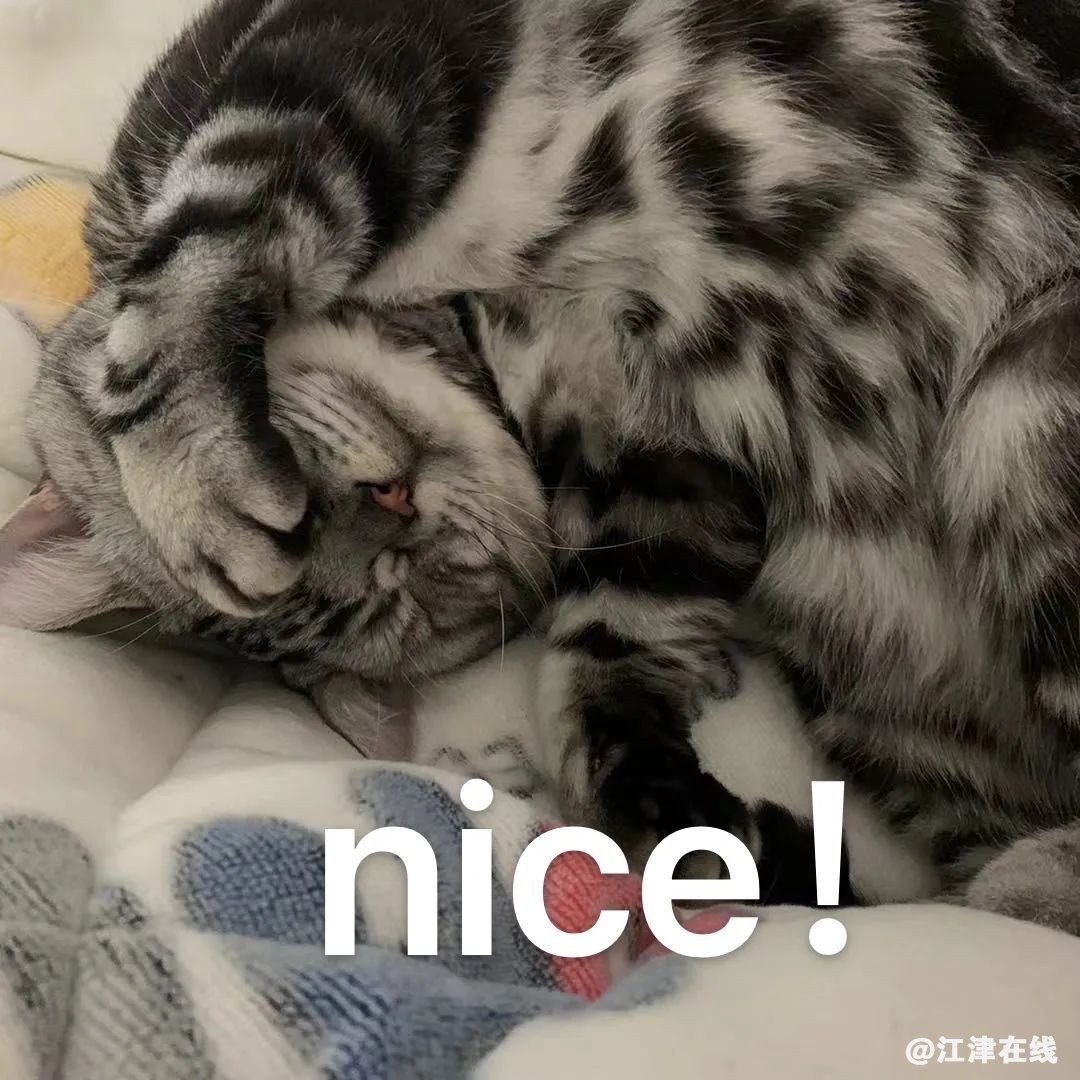 58fa9b02a280f86f08d59a976f54c53d.jpg