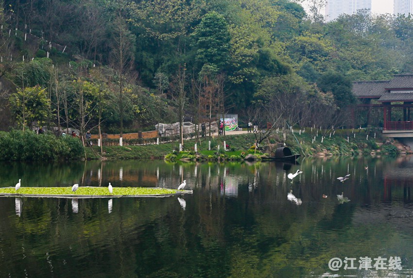 IMG_5753副本副本.jpg