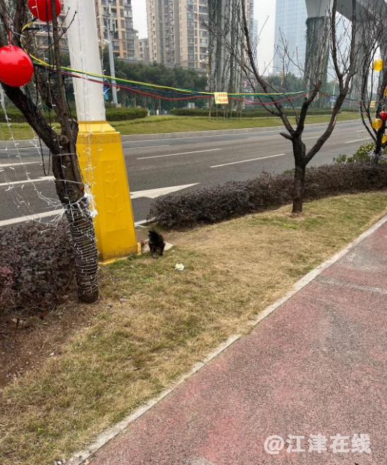 微信截图_20220113154150.png