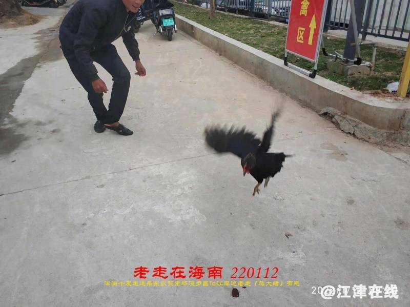 185036wf7ww7gw77zvwqty.jpg.thumb.jpg