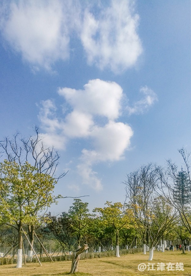 明 (1).jpg