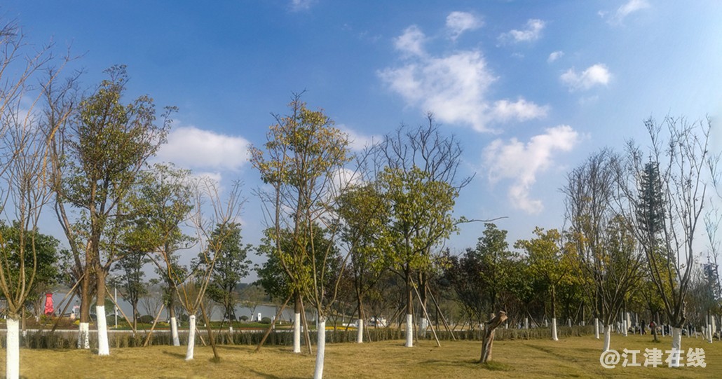 明 (1-2).jpg
