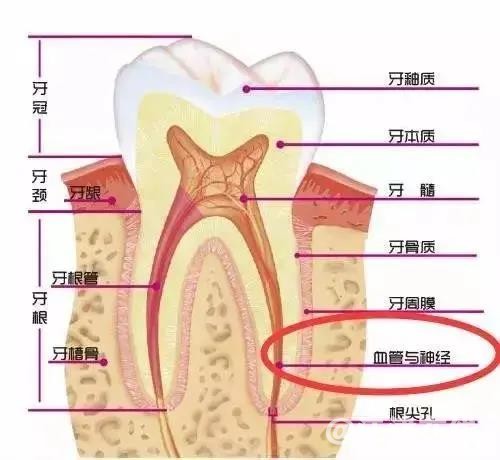 微信图片_20220118091600.jpg